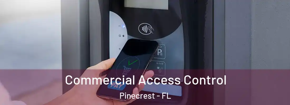  Commercial Access Control Pinecrest - FL