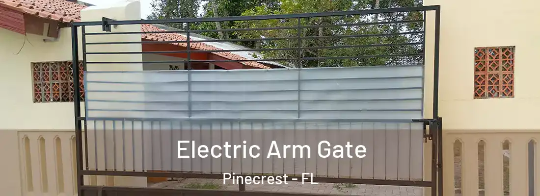  Electric Arm Gate Pinecrest - FL