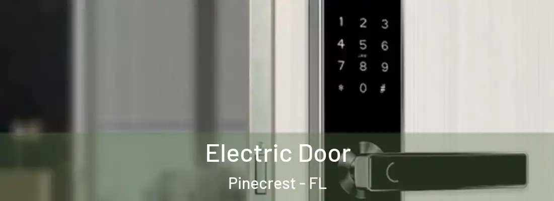  Electric Door Pinecrest - FL