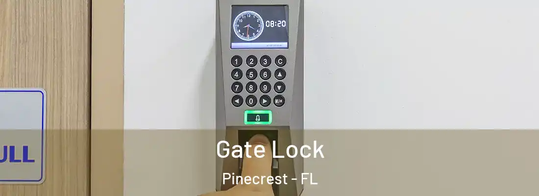  Gate Lock Pinecrest - FL