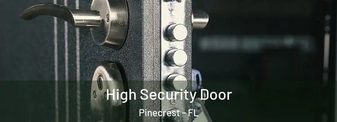  High Security Door Pinecrest - FL