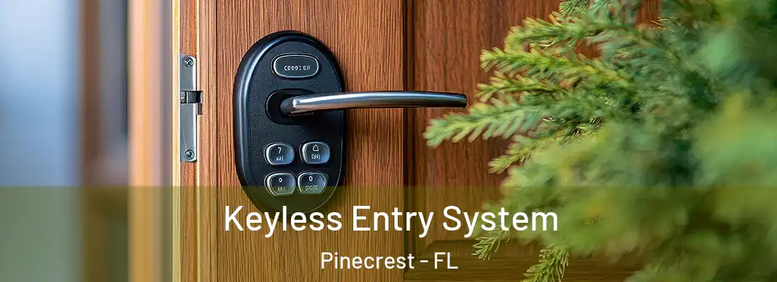  Keyless Entry System Pinecrest - FL